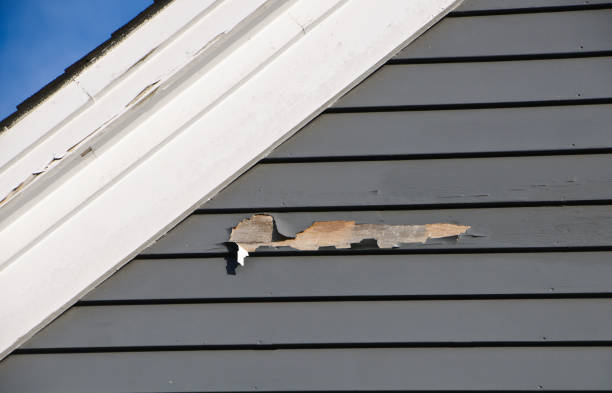 Best Vinyl Siding Installation  in San Joaquin, CA